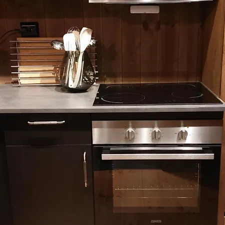 Hébergement de vacances Aurora Borealis *